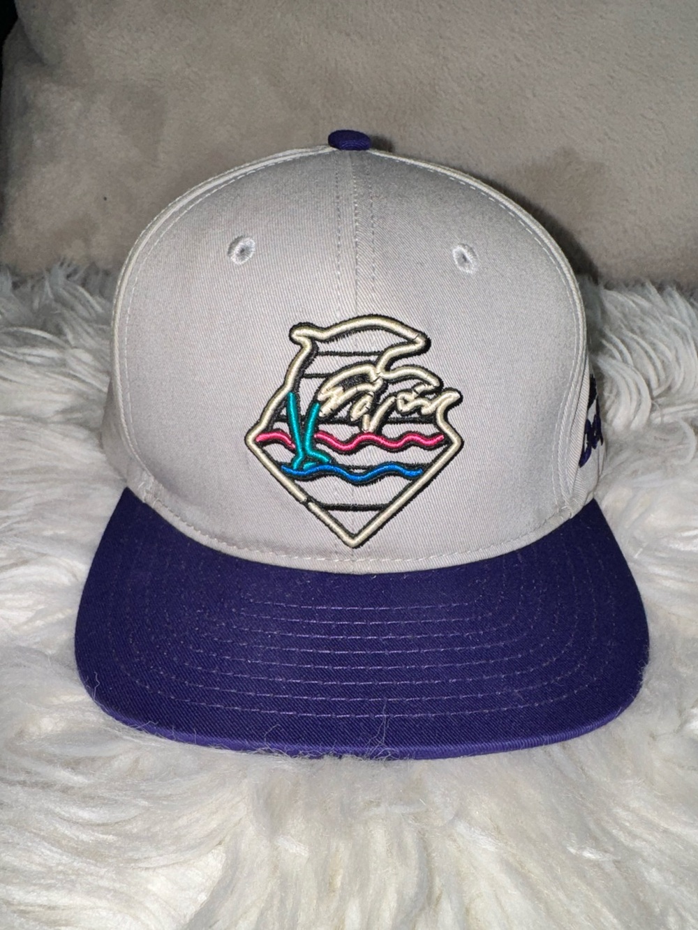 Vintage Style Pink Dolphin Gray and Purple Baseball Cap